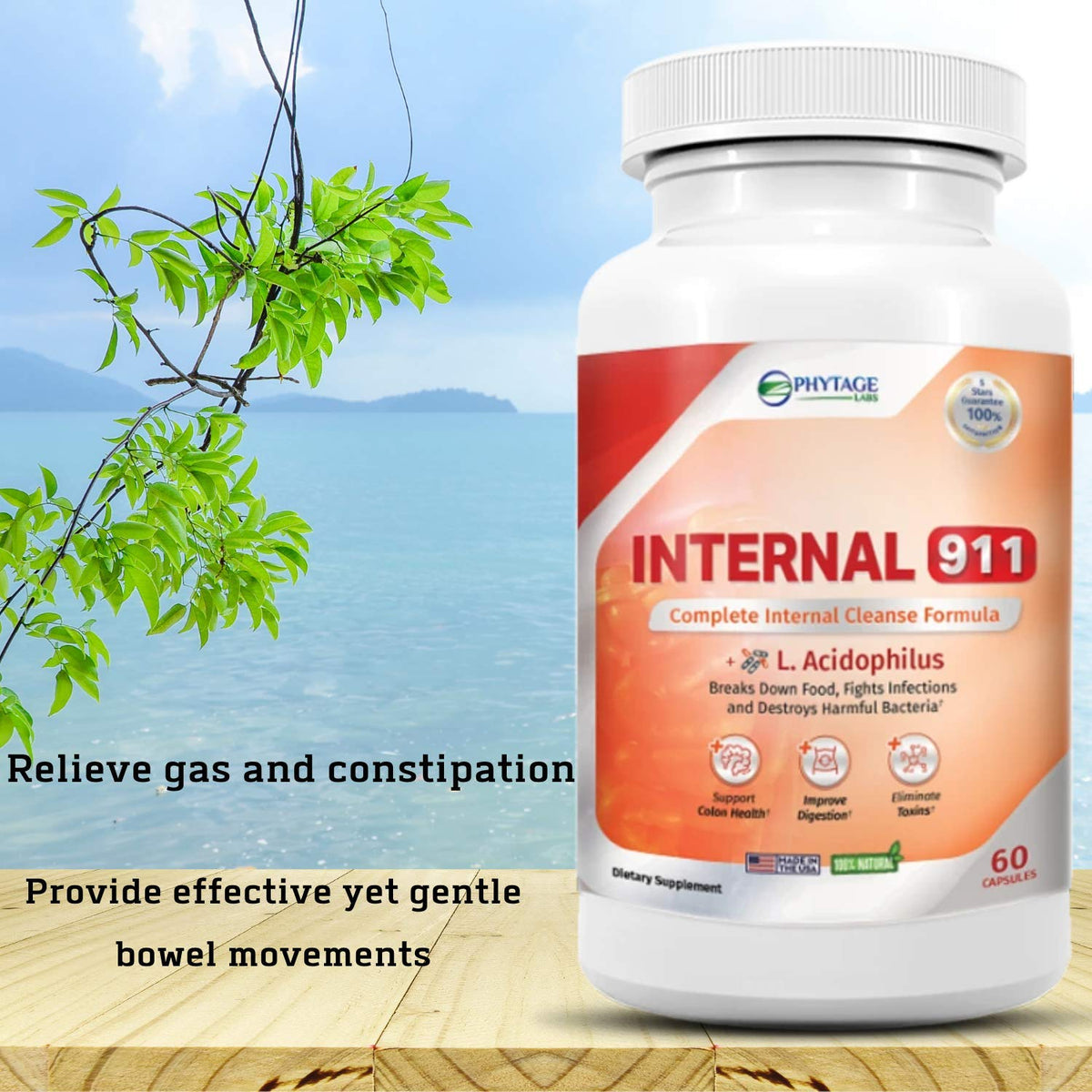 Phytage Labs Internal 911 Colon Cleanse Detox Supplement - Natural Laxative Cleanser Removes Toxins for Better Digestion and Radiant Skin - 60 Capsules - PrimeBioHealth - canada supplements