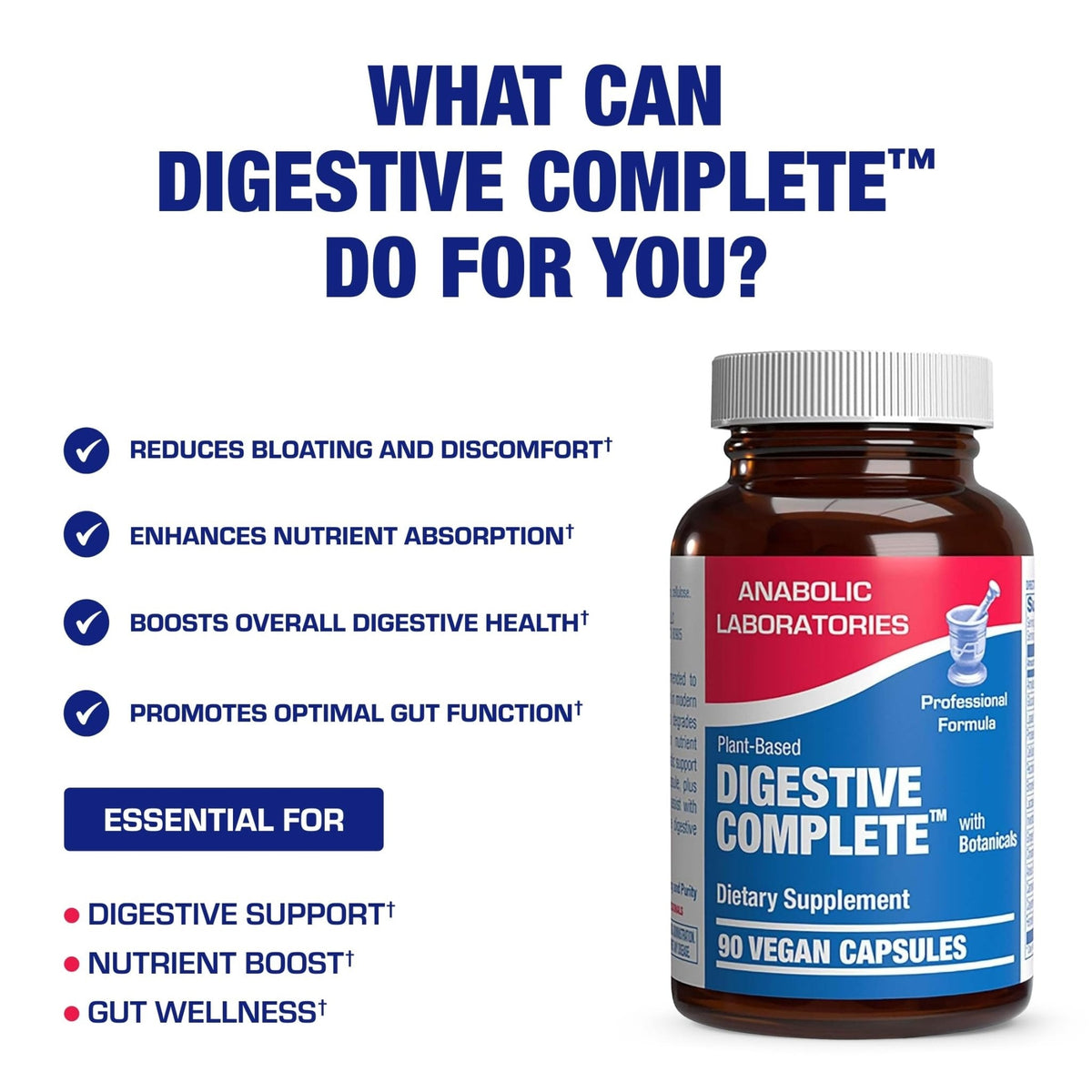 Plant Based Multi Digestive Enzymes Supplement - Clinically Formulated Digestion Supplement with Soothing Herbs and Enzymes for Women and Men - PrimeBioHealth - canada supplements