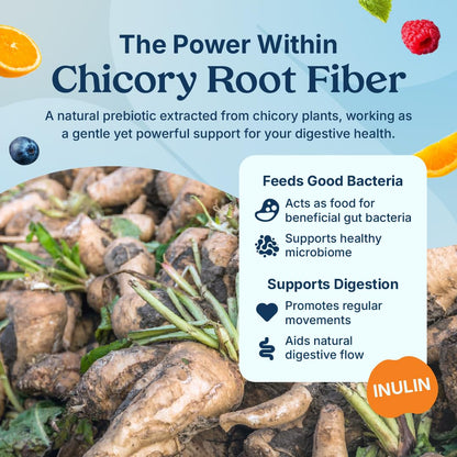 Poop Like a Champion Fiber Gummies – 5g Fiber per Serving, Non-GMO, Vegan, Digestive Support, 60 Pieces per Bottle - PrimeBioHealth - canada supplements