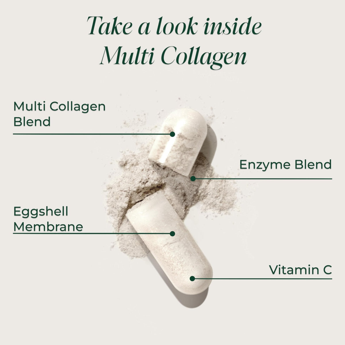 Primal Harvest Multi Collagen Pills for Women and Men (Type I, II, III, V, X) 120 Capsules w/Vitamin C for Hair, Skin, Nails - PrimeBioHealth - canada supplements