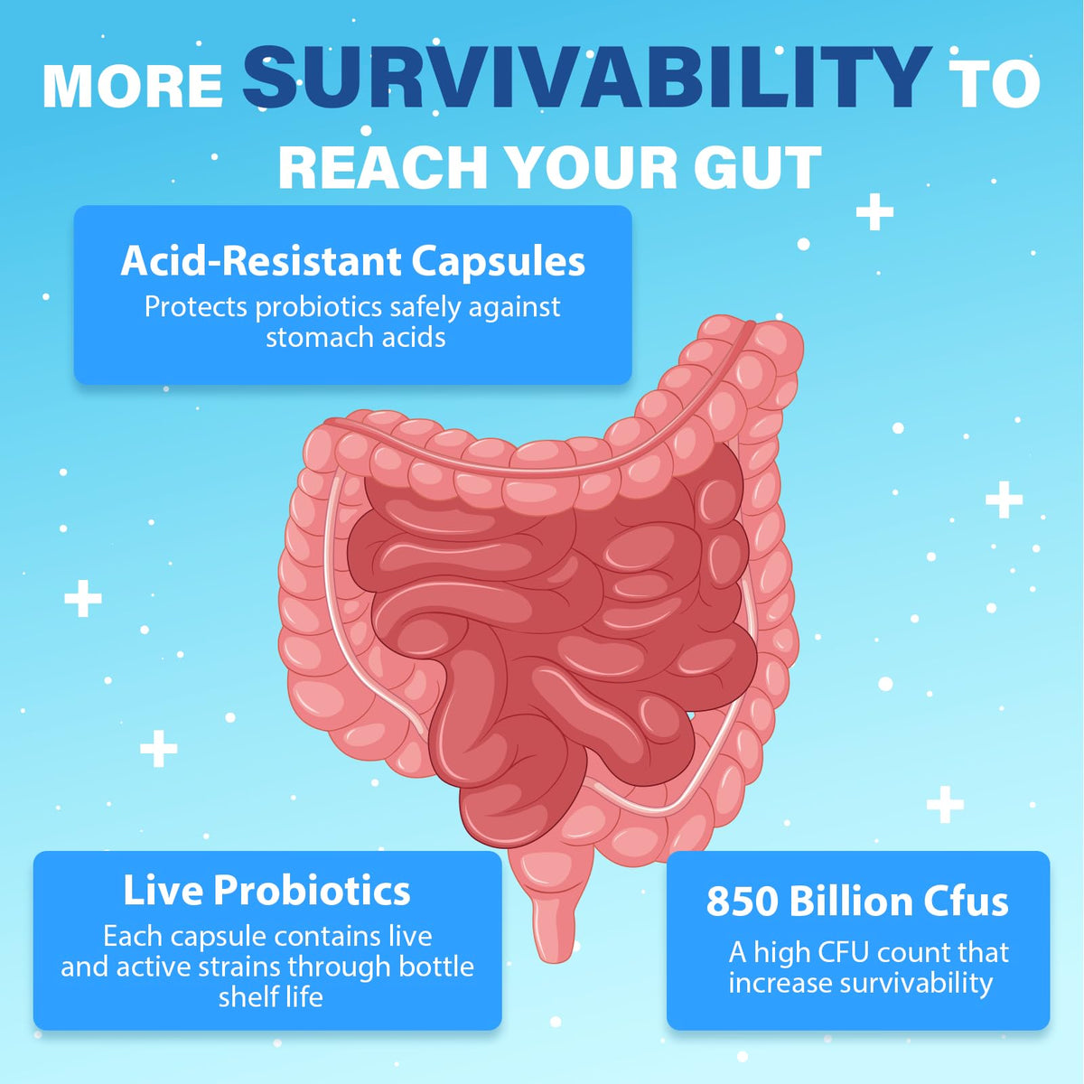 Probiotics for Men, Advanced 50+ Mens Probiotic, Comprehensive Gut & Energy Support with 850 Billion CFU, 1800mg Prebiotics Fiber – Tailored Wellness mens probiotics - PrimeBioHealth - canada supplements