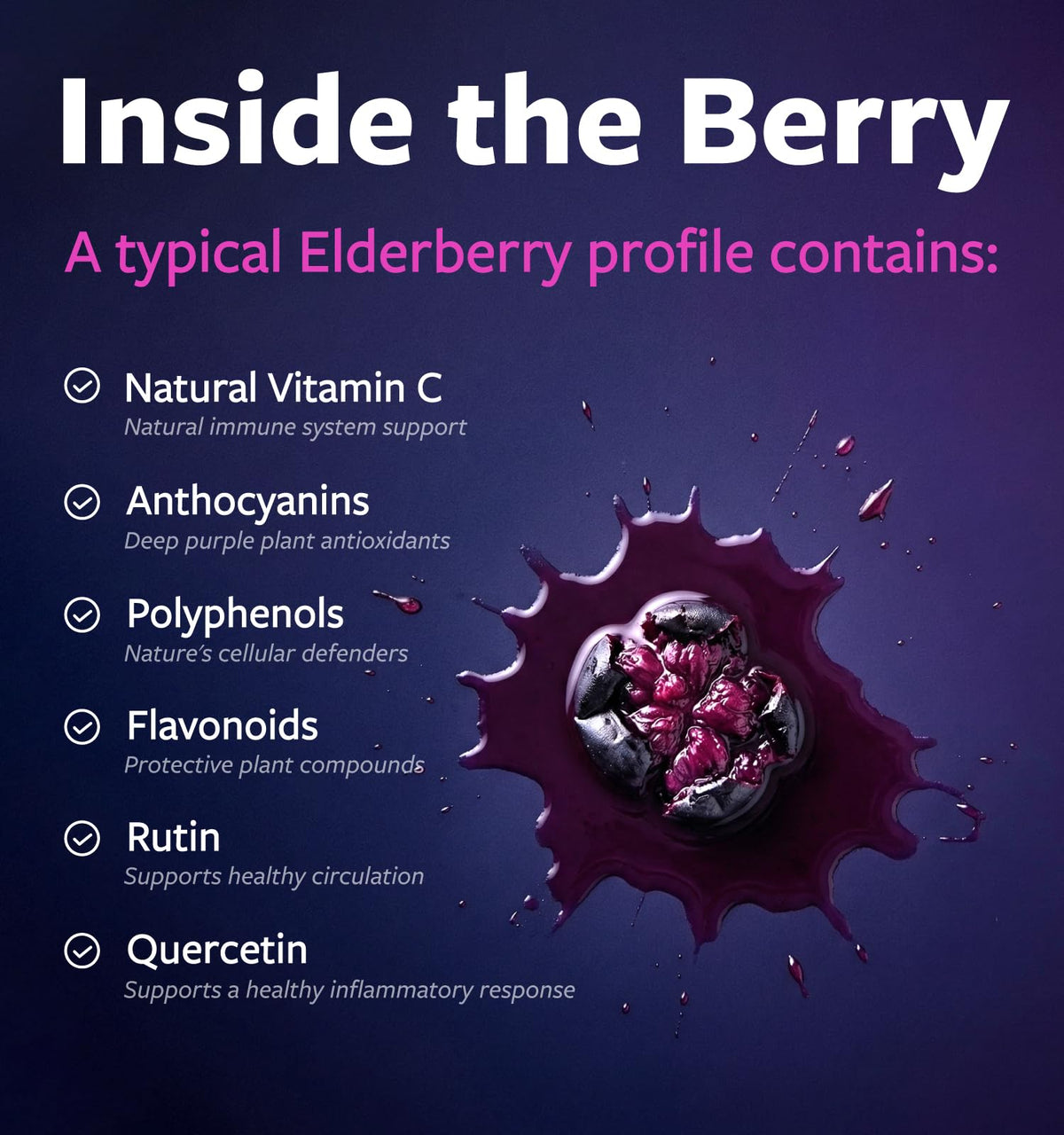 PURE CO Organic Elderberry 10:1 Extract 500mg Per 1 Capsule Serving - Vegan Black Elderberry Supplement for Immune Support, Allergy, Sinus Relief - Sambucus Nigra - 30 Caps - PrimeBioHealth - canada supplements