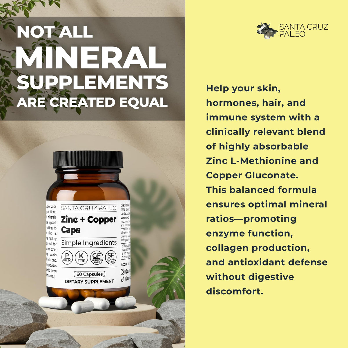 Santa Cruz Paleo, Zinc & Copper Mineral Supplement, High Absorption Formula, Zinc Supplement for Skin & Hair, L Methionine, Copper Gluconate, Trace Minerals - PrimeBioHealth - canada supplements
