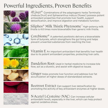 Stonehenge Health Dynamic Liver – Siliphos Milk Thistle Formula – Liver Support & Antioxidant Support, Gut-Liver Axis, Selenium, Zinc, Vitamin E, Ginger, Beetroot Extract Non-GMO, 60 Veg Caps (2 Pack) - PrimeBioHealth - canada supplements