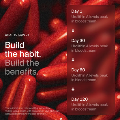 Timeline Mitopure Urolithin A Supplement Softgels - Clinically Proven Support for Healthy Aging and Cellular Renewal - PrimeBioHealth - canada supplements