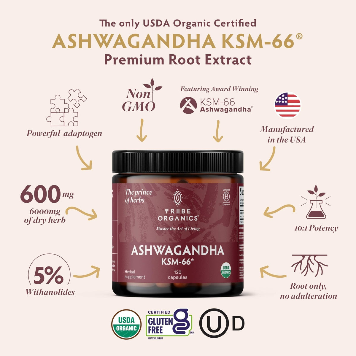 TRIBE ORGANICS Ashwagandha KSM 66 Pure Organic Root Powder Extract Ayurvedic Supplement - Focus, Mood Support, Increase Energy, Strength, 600mg of Natural KSM66 - PrimeBioHealth - canada supplements
