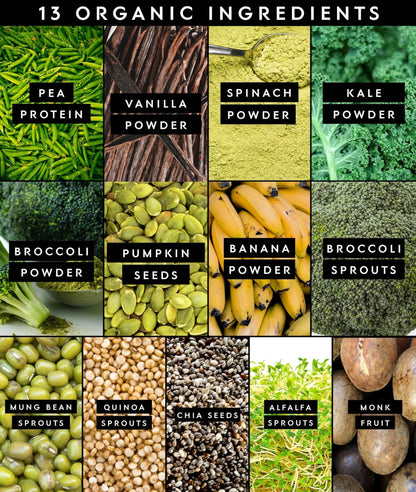 Truvani Protein + Greens Supplement | Spinach, Kale & Broccoli | 10g Organic Plant Based Protein | 20 Servings | USDA Organic | Gluten & Dairy Free - PrimeBioHealth - canada supplements