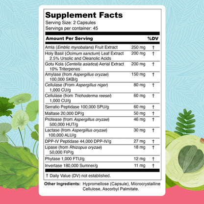 UpWellness Total Revive+ Digestive Enzymes - Broad-Spectrum Enzymes for Digestive Health - Supports Gut Health and Nutrient Absorption - PrimeBioHealth - canada supplements