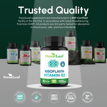 Vitamin B2 Riboflavin 400mg - Energy, Skin & Cellular Health Supplement - Nervous System Support - Vitamin B 2 Vit B - Non-GMO & Gluten Free - B2 Vitamin 400mg - PrimeBioHealth - canada supplements