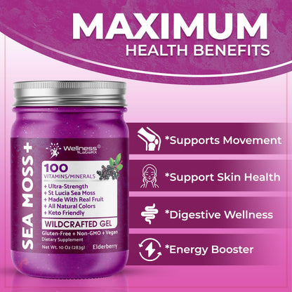 WELLNESS LABSRX Irish Sea Moss Gel Raw - Wildcrafted Superfood Seamoss Gel - Pineapple Mango Flavor, Vitamin and Mineral-Rich from Pristine Caribbean Waters - 10 oz. - PrimeBioHealth - canada supplements