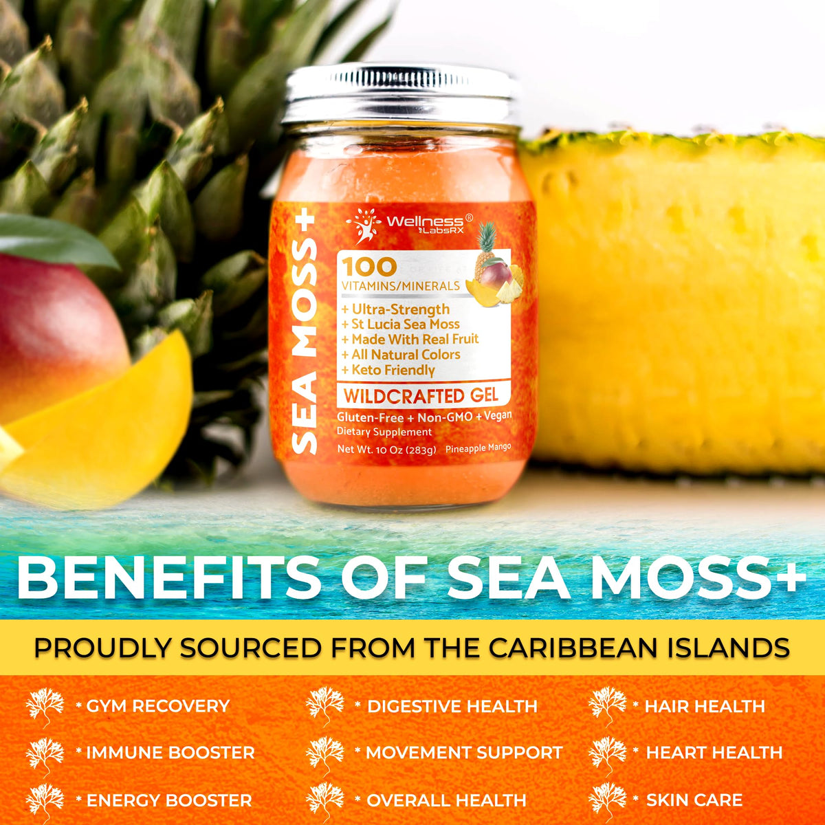 WELLNESS LABSRX Irish Sea Moss Gel Raw - Wildcrafted Superfood Seamoss Gel - Pineapple Mango Flavor, Vitamin and Mineral-Rich from Pristine Caribbean Waters - 10 oz. - PrimeBioHealth - canada supplements