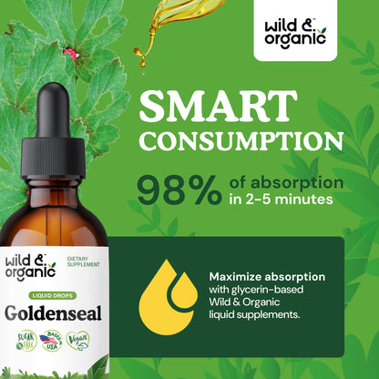 Wild & Organic Goldenseal Tincture - Lung & Digestive Support - Goldenseal Root Extract Liquid Drops - Vegan, Sugar & Alcohol-Free Herb Supplement - 4 fl oz - PrimeBioHealth - canada supplements