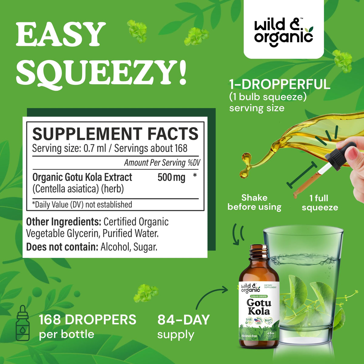 Wild & Organic Gotu Kola Extract Drops - Brain Support with Centella Asiatica Extract - Liquid Gotu Kola Supplement for Focus - Vegan, Sugar & Alcohol-Free Herb Tincture - 4 fl oz - PrimeBioHealth - canada supplements