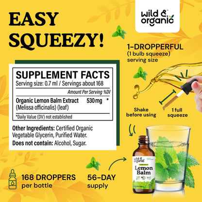 Wild & Organic Lemon Balm Tincture - Good Mood Support - Melissa Lemon Balm Extract Drops - Add to Tea for Relaxation - Vegan, Sugar & Alcohol-Free Leaf Supplement - 4 fl oz - PrimeBioHealth - canada supplements