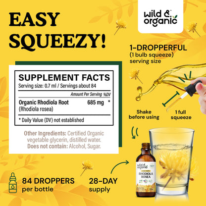 Wild & Organic Rhodiola Rosea Tincture - Rhodiola Rosea Supplement for Mood Support - Relaxing Root Extract Liquid Drops - Vegan, Sugar & Alcohol-Free - 4 fl oz - PrimeBioHealth - canada supplements