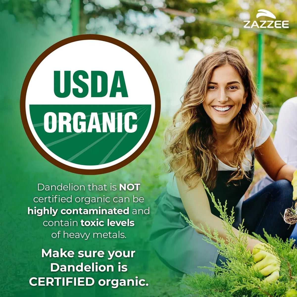 Zazzee Urinary Tract Cleanse & Detox Bundle | USDA Organic Dandelion Root Extract Capsules Plus D-Mannose 1000mg Capsules for UT & Bladder Cleansing - PrimeBioHealth - canada supplements
