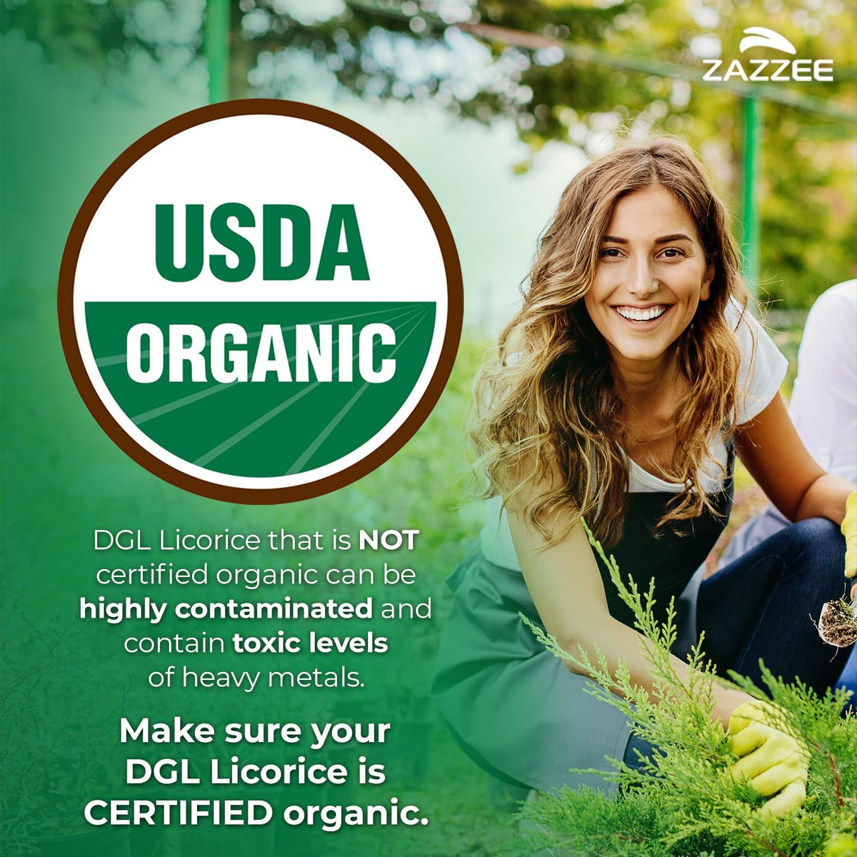 Zazzee USDA Organic DGL Licorice 20:1 Extract, 120 Vegan Capsules, 4 Month Supply, Deglycyrrhizinated Licorice Root, Glycyrrhiza Glabra, Digestive & Stomach Support, All-Natural, Non-GMO, Made in USA - PrimeBioHealth - canada supplements