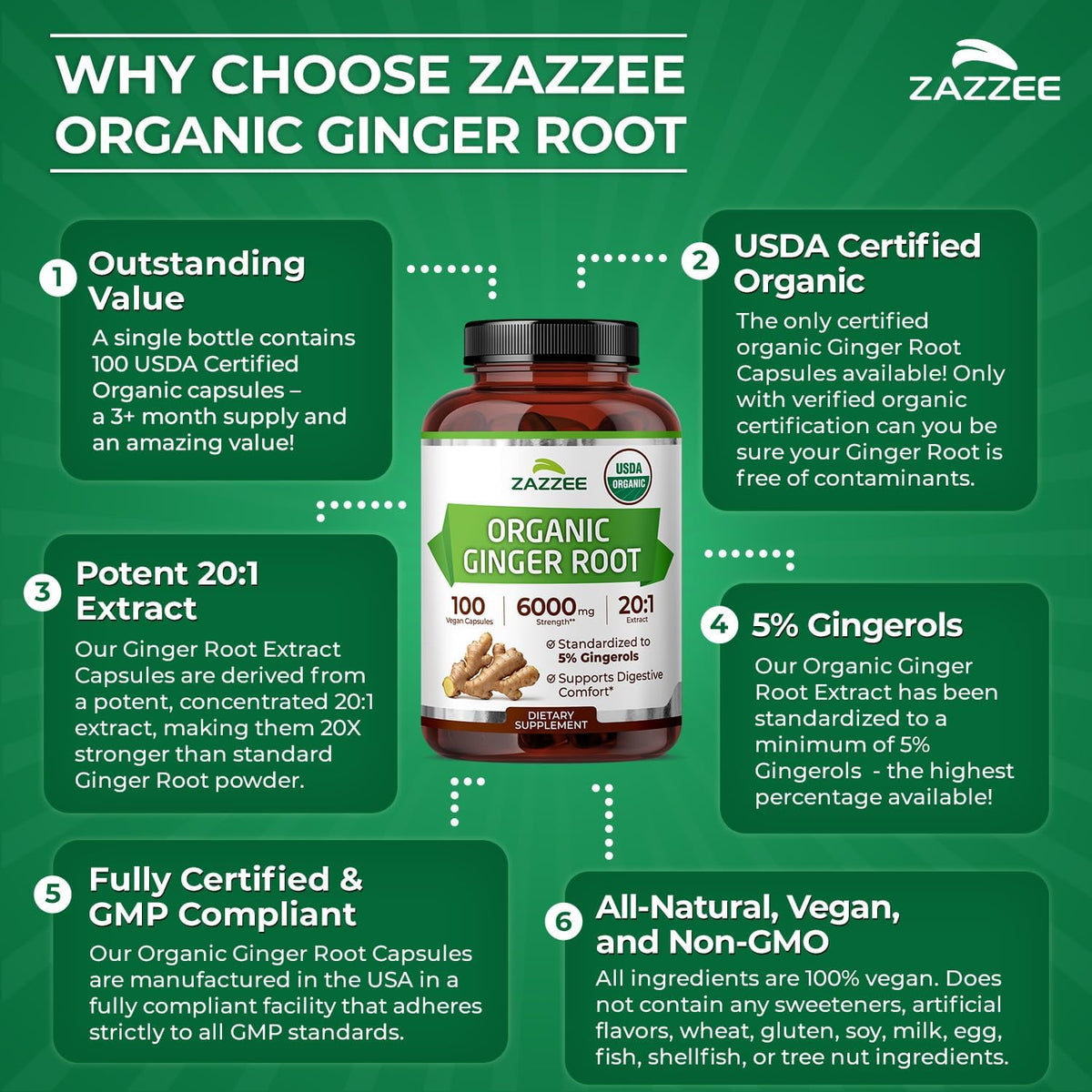 Zazzee USDA Organic Ginger Root 20:1 Extract, 5% Gingerols, 100 Vegan Capsules, 3+ Month Supply, Zingiber Officinale, Digestive & Stomach Support, All-Natural, Non-GMO, Made in the USA - PrimeBioHealth - canada supplements
