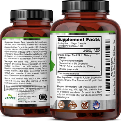 Zazzee USDA Organic Ginger Root 20:1 Extract, 5% Gingerols, 100 Vegan Capsules, 3+ Month Supply, Zingiber Officinale, Digestive & Stomach Support, All-Natural, Non-GMO, Made in the USA - PrimeBioHealth - canada supplements